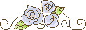 blue roses